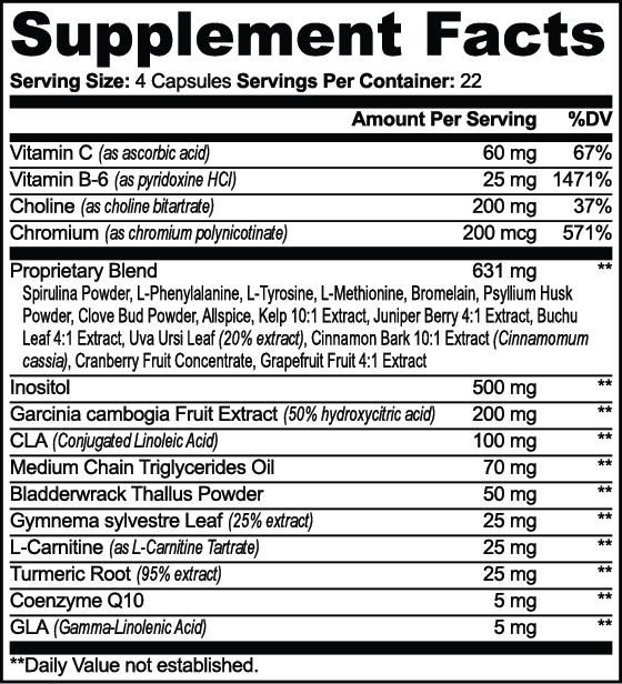 Body  Fat Burner / Metabolic Support